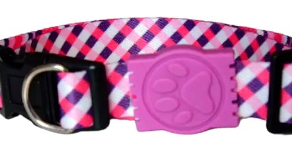 Melhor Marca de Coleira para Cachorro: Segurança e Conforto