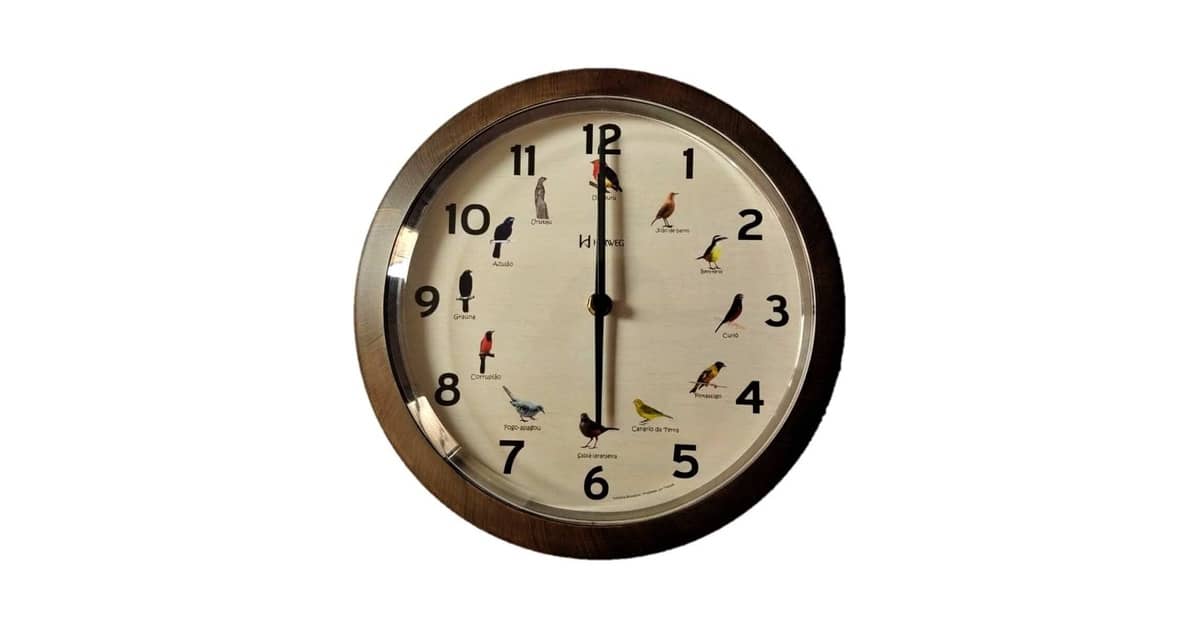 Melhor Marca de Relógio Brasileiro: Escolha o Seu!