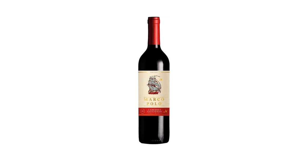 Melhor Marca de Vinho Chileno: Descubra os Sabores Únicos