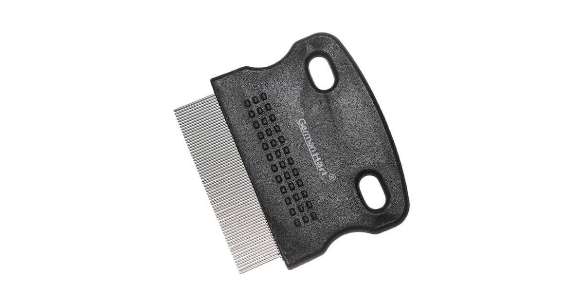 Melhor Pente para Gato: Guia de Escolha Inteligente