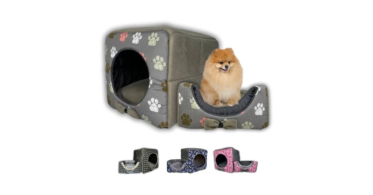 Melhor Piso para Casa com Cachorro: Guia Essencial