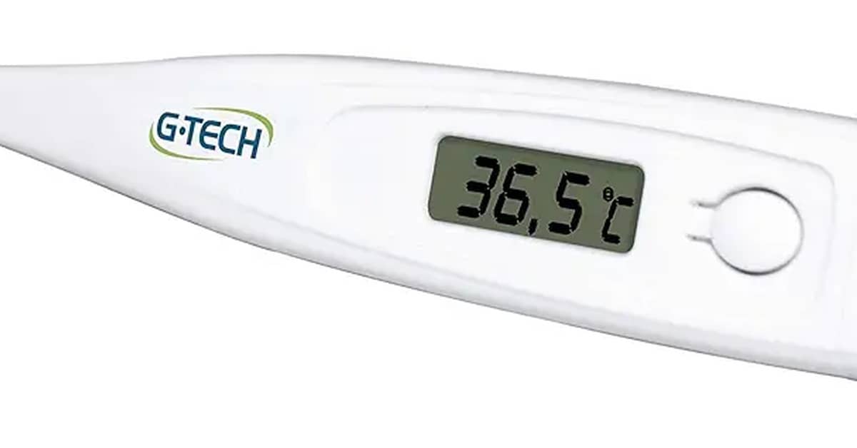 Melhor Preço Termômetro Digital G Tech: Destaques