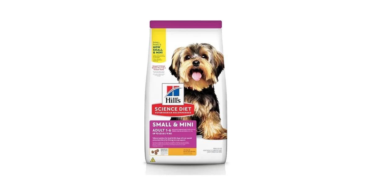 Melhor Ração para Pinscher: 6 Opções Nutritivas