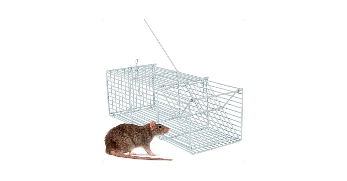 Melhor Ratoeira do Mundo: Guia Definitivo de Captura Eficaz
