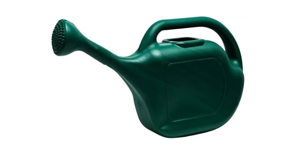 Melhor Regador Stardew Valley: Capacidade e Durabilidade em Destaque