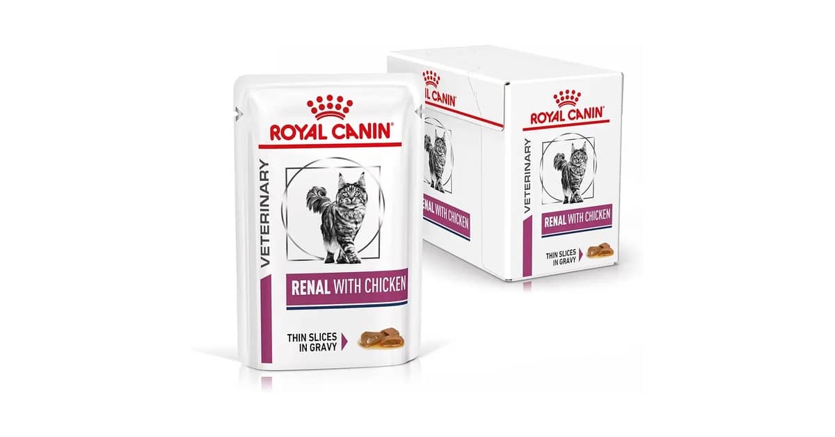 Melhor Sachê para Gato Renal: Guia Completo de Escolha