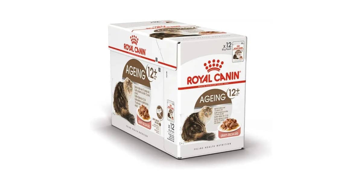 Melhor Sachê para Gatos Idosos: Guia Essencial