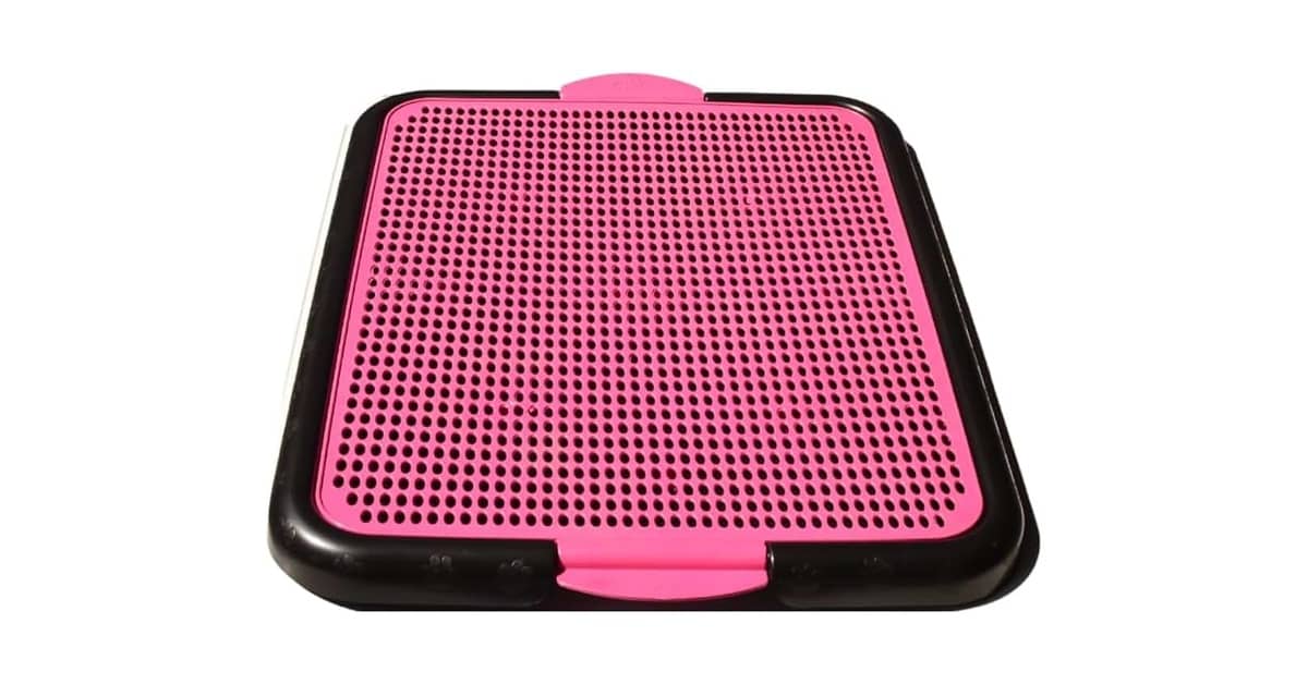 Melhor Sanitario Canino: Guia Definitivo de Escolha