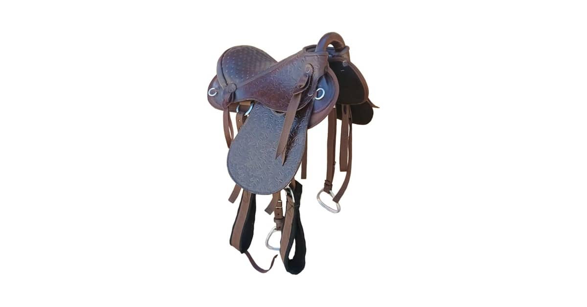 Melhor Sela para Cavalo Crioulo: Conforto e Segurança