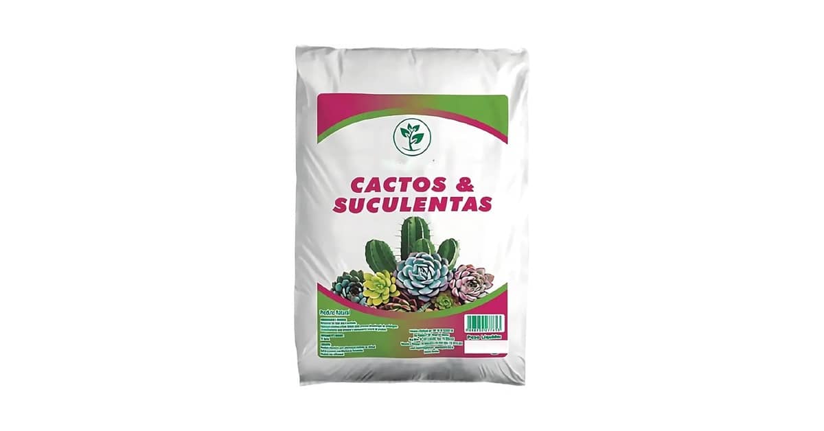 Melhor Solo para Suculentas: Guia de Drenagem Perfeita