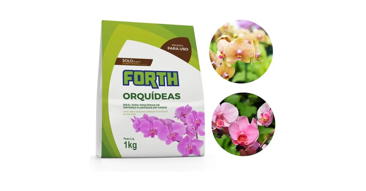 Melhor Substrato para Orquídeas: 10 Opções Premium