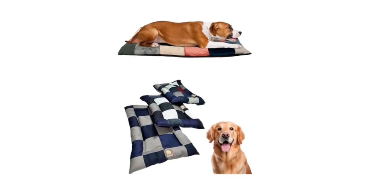 Melhor Tecido para Cama de Gato: Guia Completo