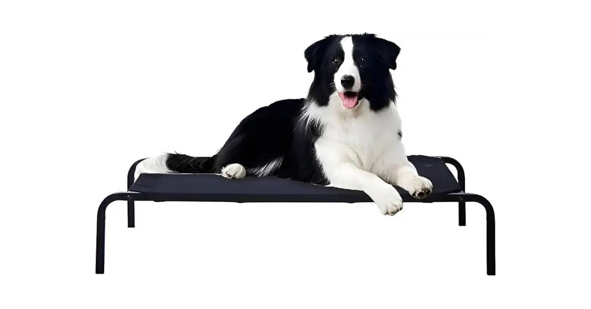 Melhor Tipo de Cama para Cachorro: Conforto e Suporte Garantidos