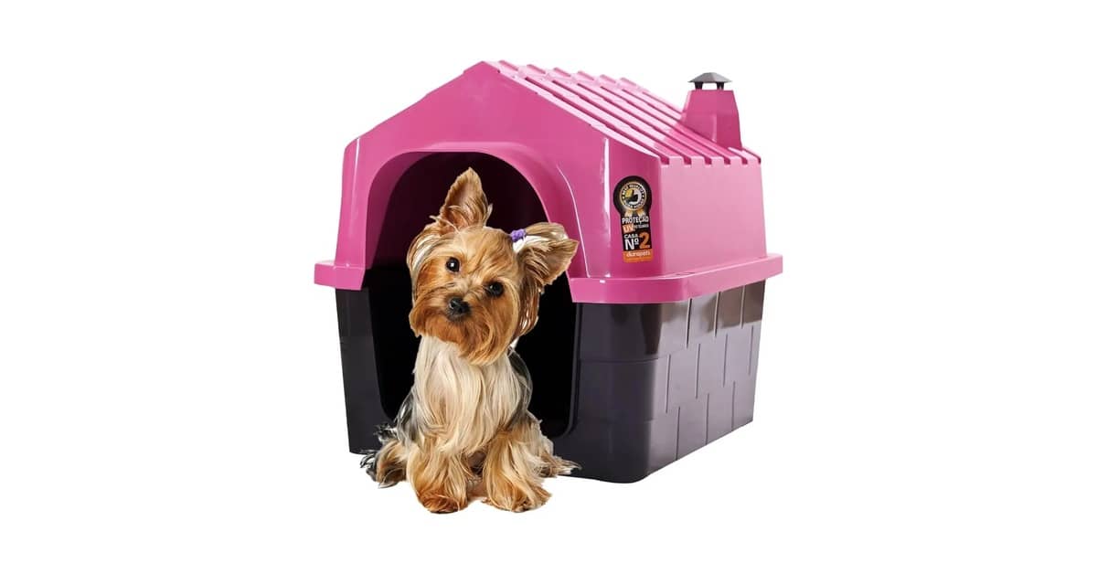 Melhor Tipo de Casa para Cachorro: Escolha Ideal