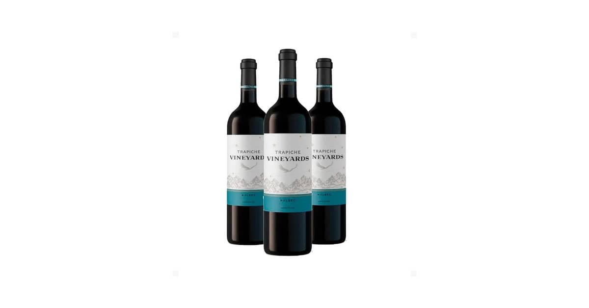 Melhor Uva Vinho Argentino: Malbec e Outras Joias da Argentina