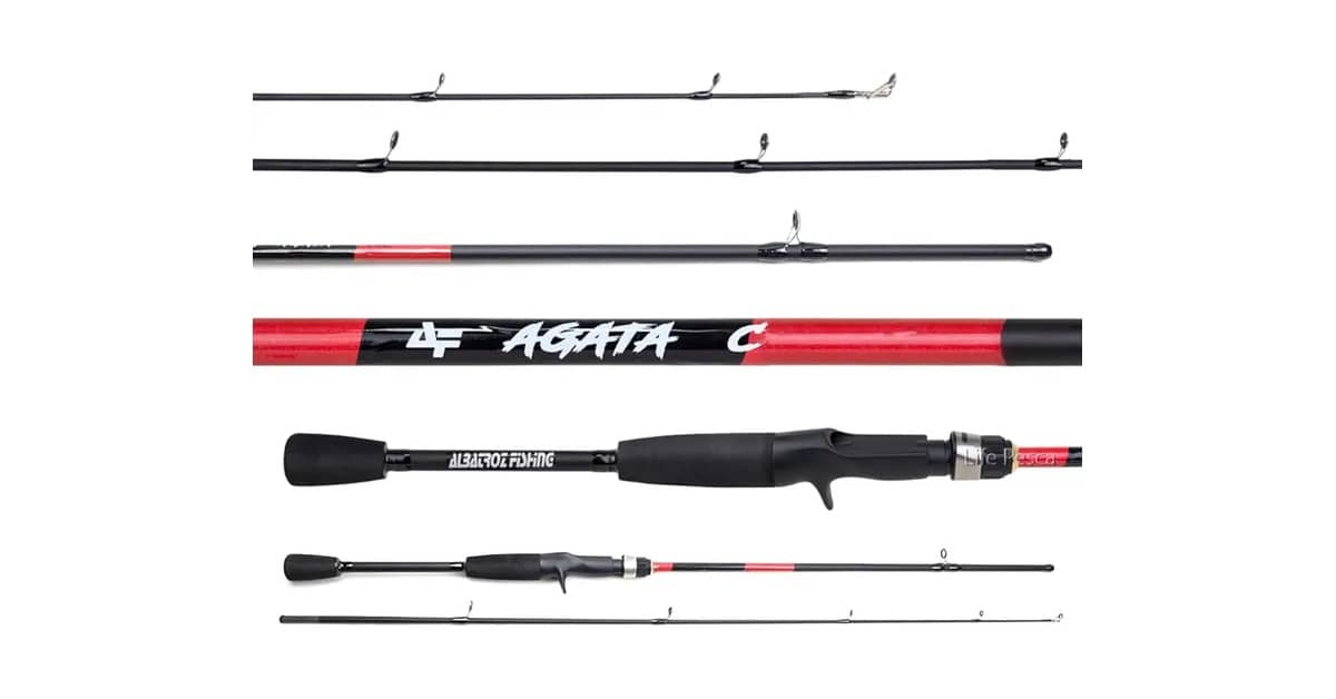 Melhor Vara de Pesca para Carretilha: Guia de Escolha Essencial