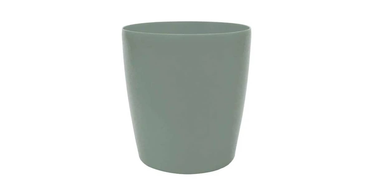 Melhor Vaso Orquidea: Guia Completo