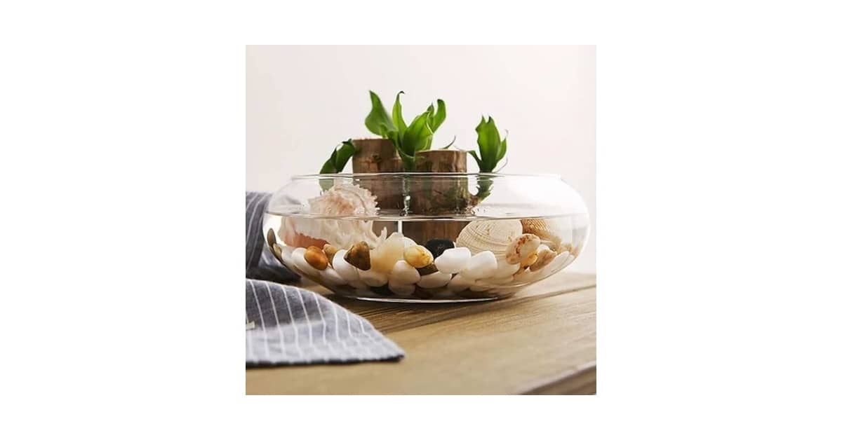 Melhor Vaso para Flor de Cera: 5 Opções Elegantes