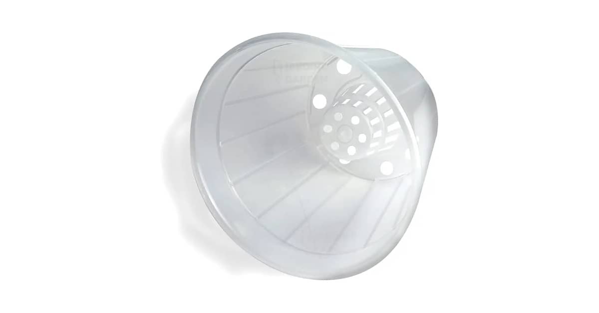 Melhor Vaso para Orquidea Cattleya: Guia Essencial