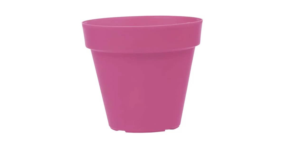 Melhor Vaso para Plantar Rosa do deserto: Guia de Escolha