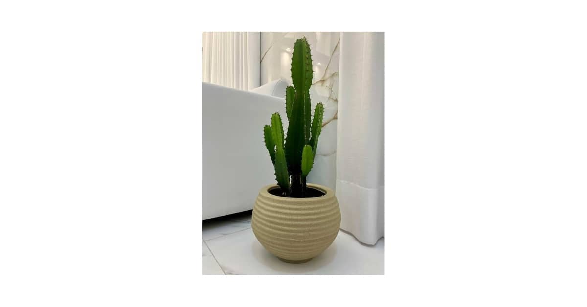 Melhor Vaso para Plantar Zamioculca: Guia Essencial