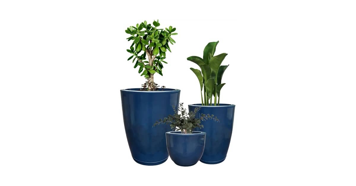 Melhor Vaso para Plantas: Guia de Estilos e Materiais