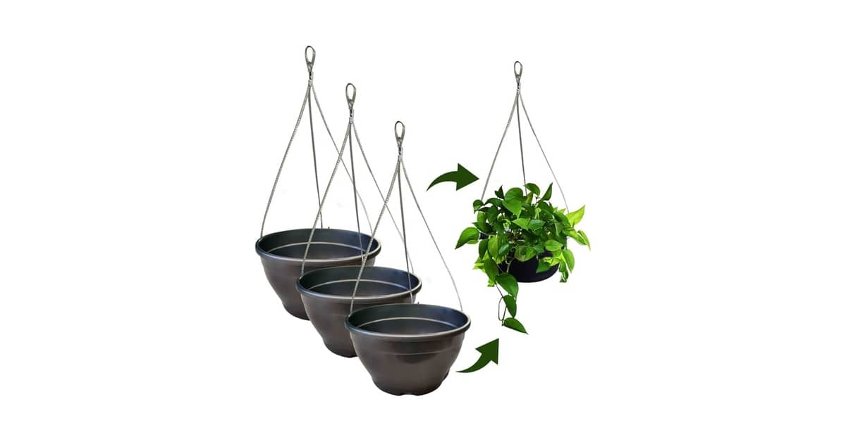 Melhor Vaso para Samambaia Chorona: Fibra de Coco e Suspensos