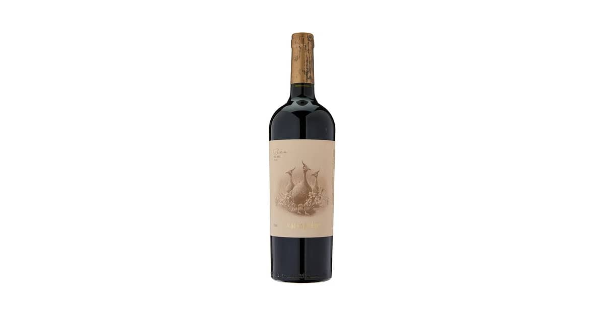 Melhor Vinho Argentino Malbec: Sabores Intensos Revelados