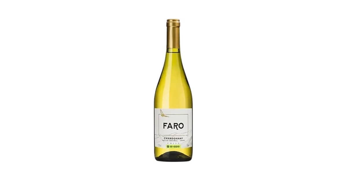 Melhor Vinho Chileno do Mundo: Seleção Premium