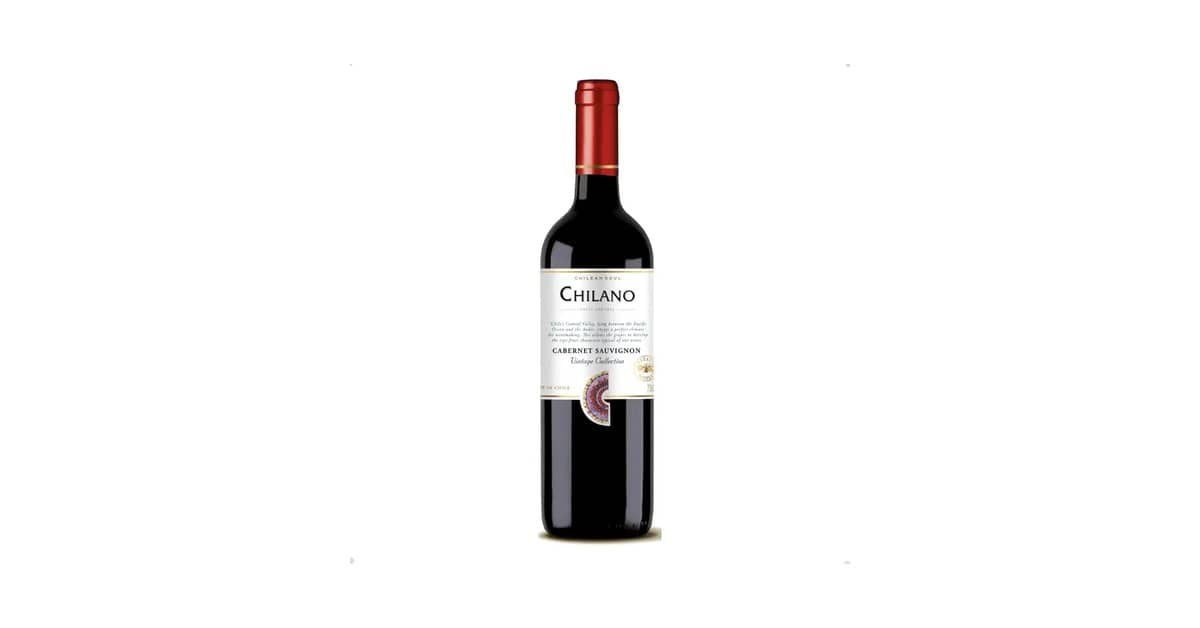 Melhor Vinho Chileno: Descubra Sabores Premium