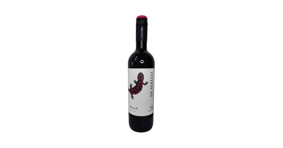 Melhor Vinho de Uva Tannat: Sabores do Uruguai e Argentina