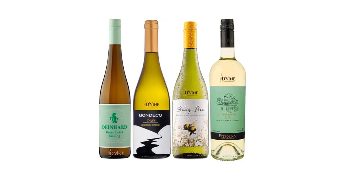 Melhor Vinho do Mundo Barato: Desvendando Sabores Incríveis!