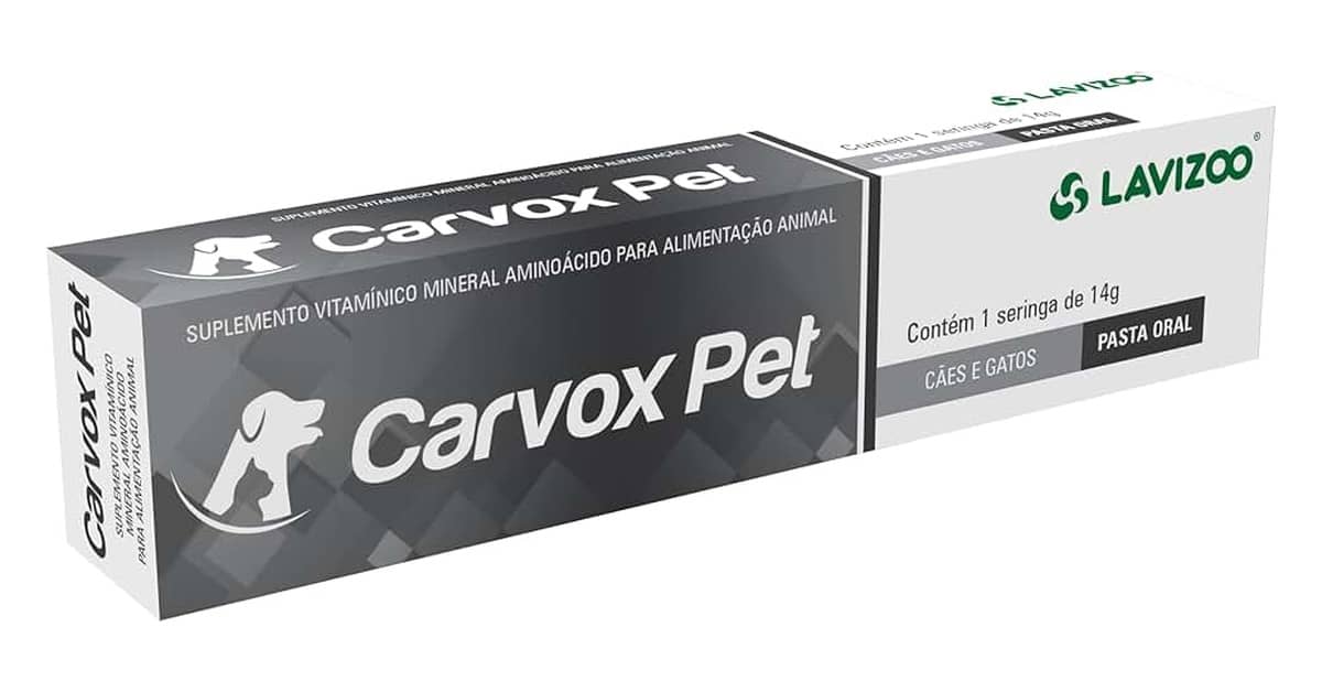 Melhor Vitamina para Cachorro de Caça: Energia e Saúde