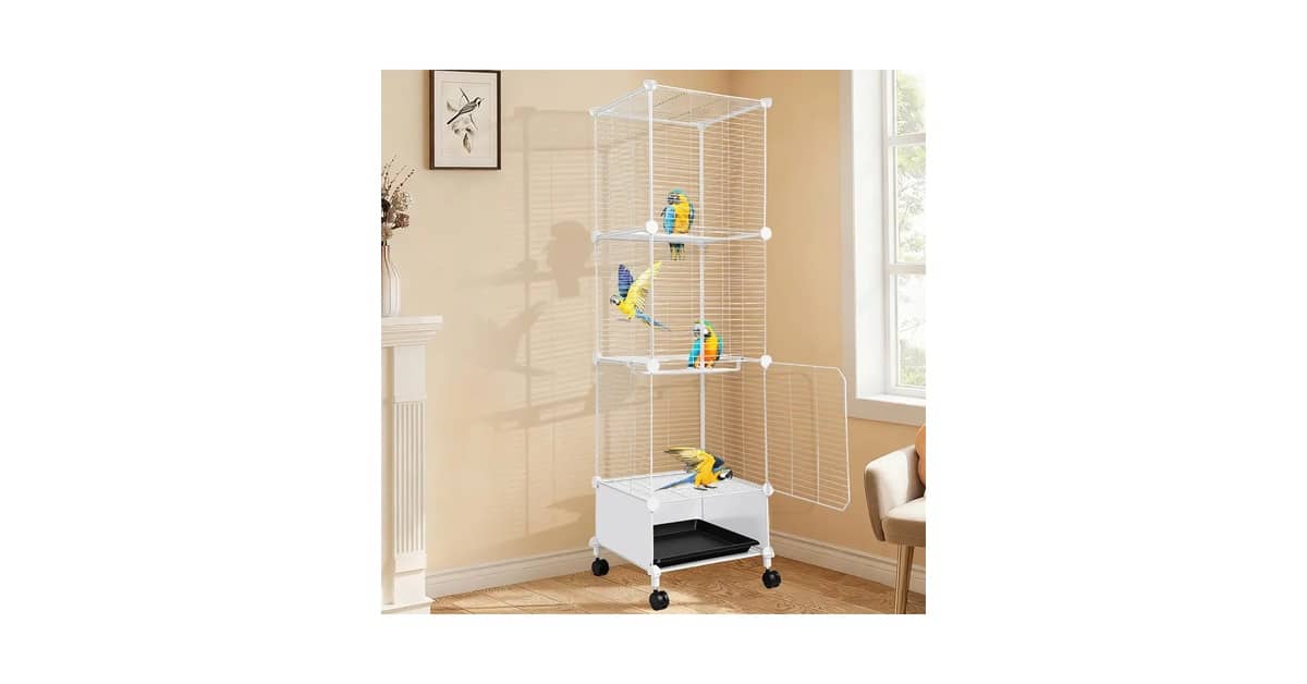 Melhor Viveiro para Papagaio: Guia Completo