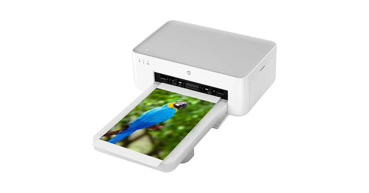 Melhor Xiaomi para Fotos: Qual a Câmera Ideal?