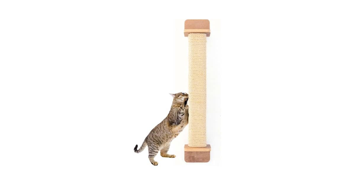 Melhores arranhadores de sisal para porta: Qual escolher?