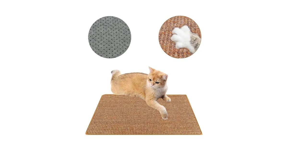 Melhores Arranhadores De Sisal Para Proteger Os Móveis: Qual O Formato Ideal?