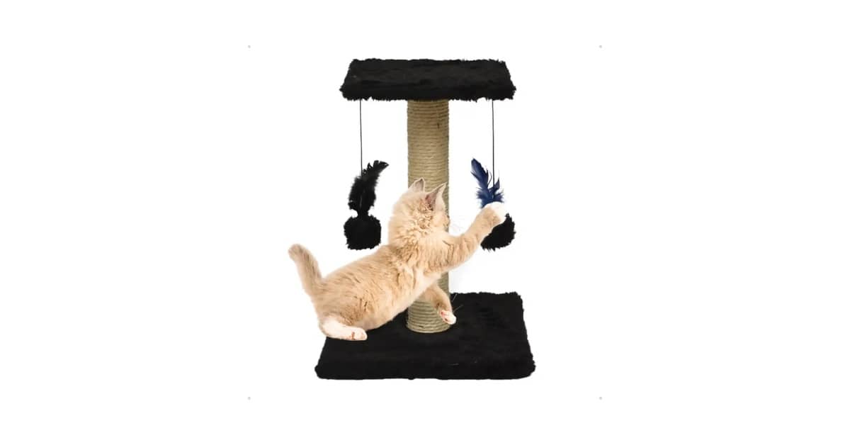 Melhores Arranhadores Para Gatos Que Não Gostam de Sisal?