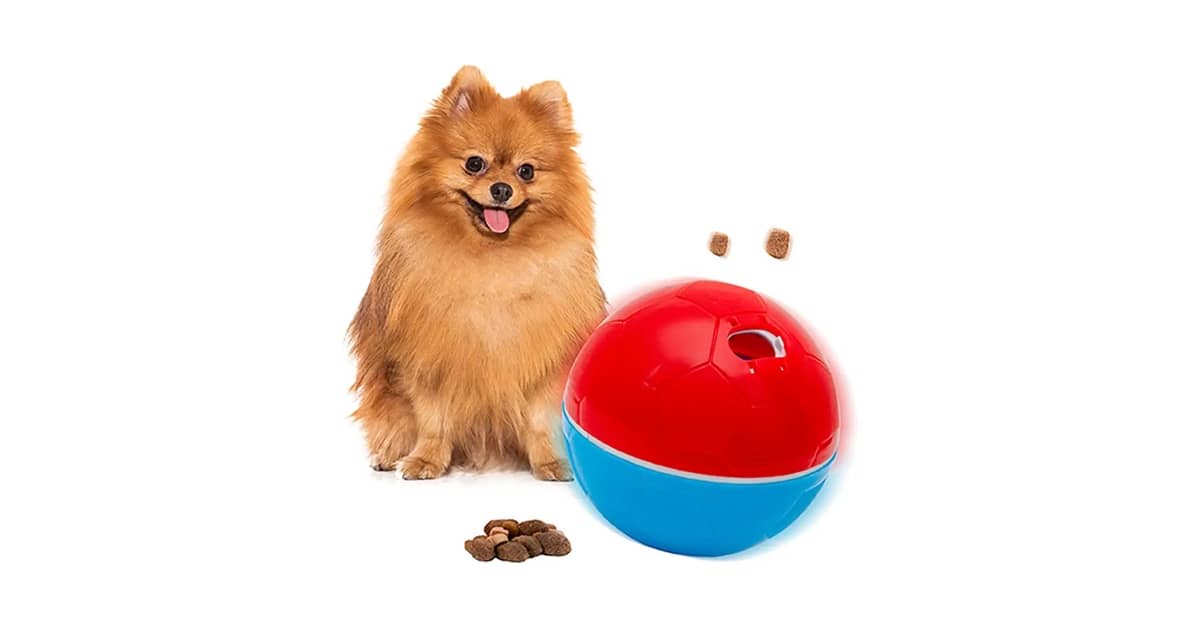 Melhores Brinquedos para Cachorro que Apitam: Guia!