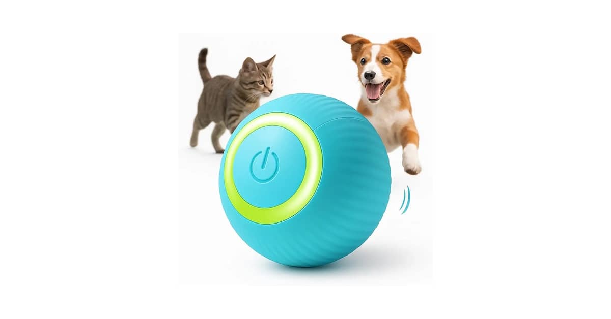 Melhores Brinquedos Para Cachorros Que Ficam Sozinhos: Opções Que Acalmam