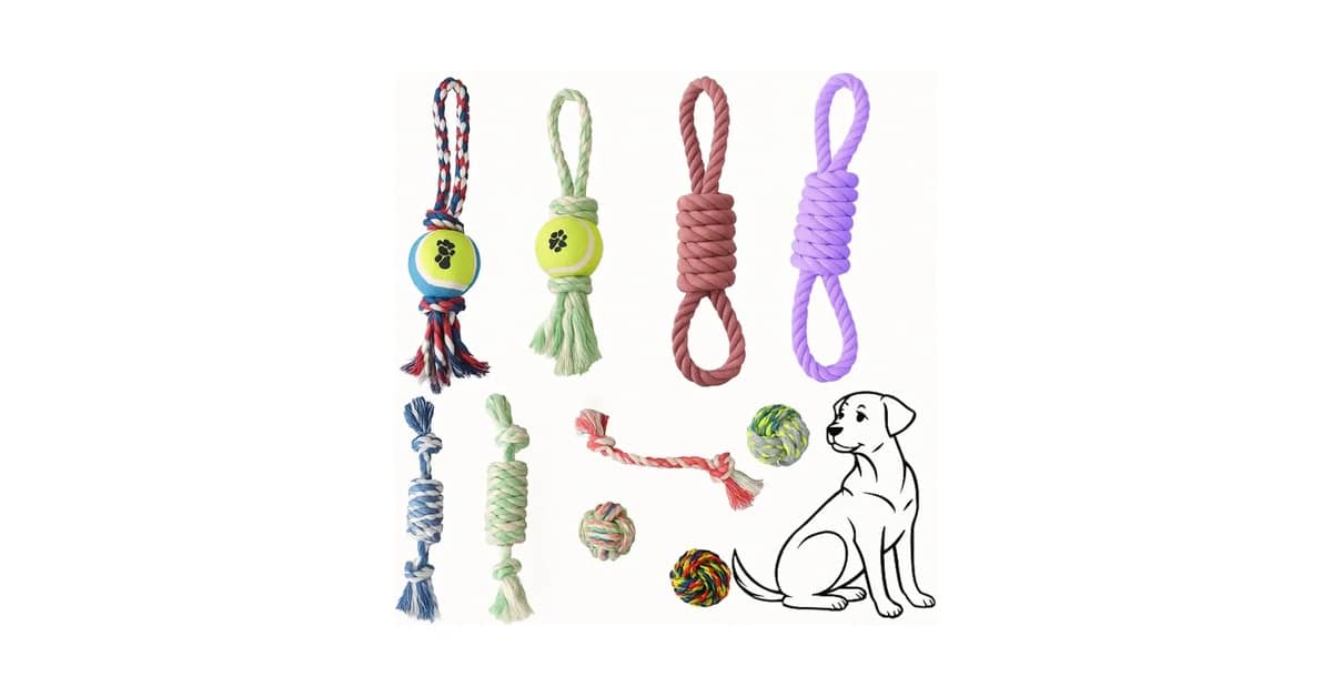 Melhores brinquedos para cães com ansiedade de separação: 10 Mais Eficazes