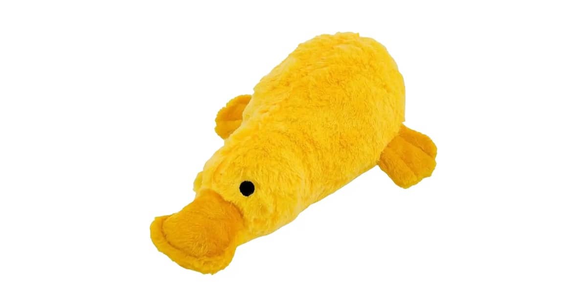 Melhores Brinquedos Para Cães Com Som Que Estimulam