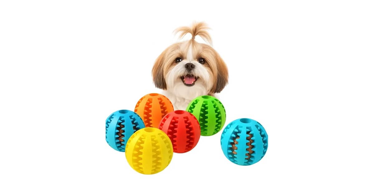 Melhores Brinquedos Para Cães Que Gostam de Buscar: Os 10 Mais Duráveis