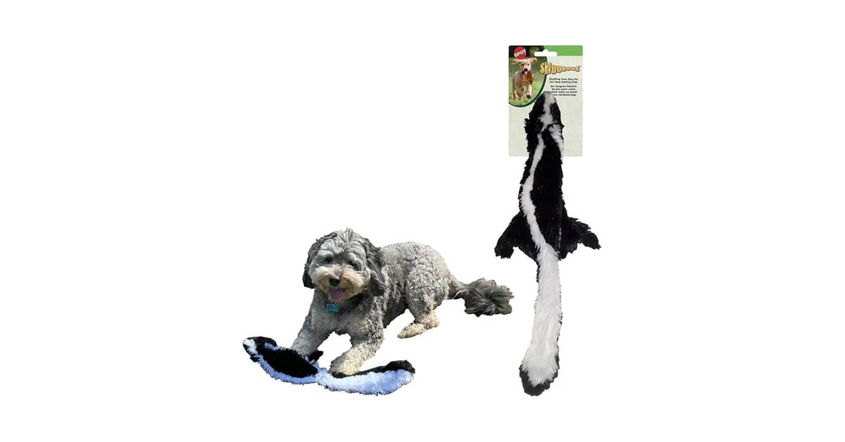 Melhores Brinquedos Para Cães Que Gostam De Fazer Barulho: Top 10