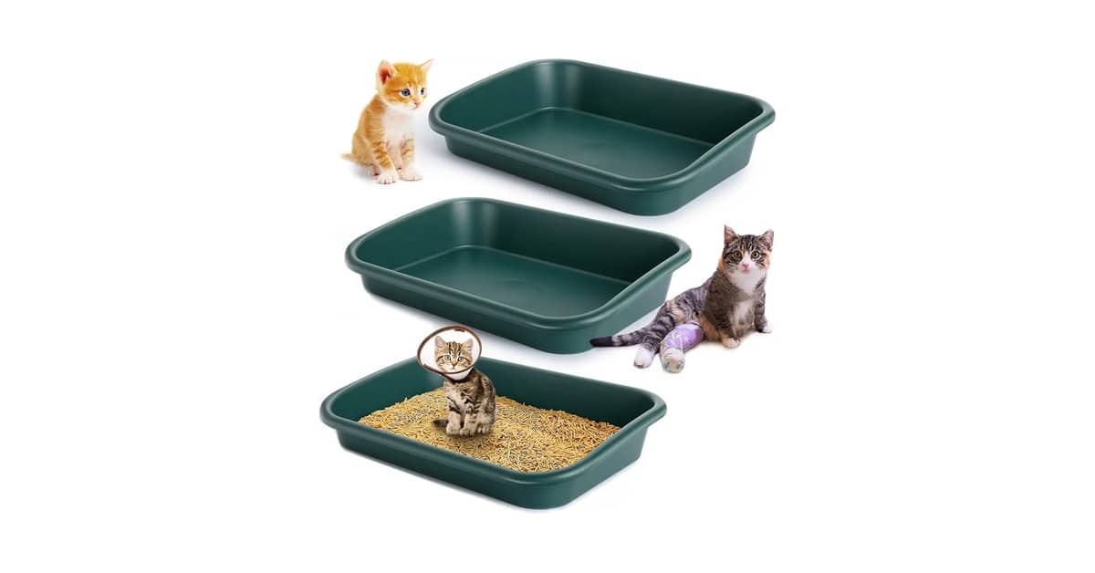 Melhores Caixas de Areia Para Gatos Idosos: 7 Modelos
