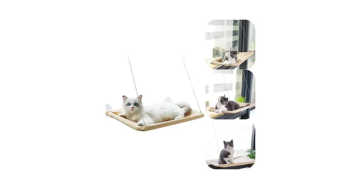 Melhores camas de janela para gatos: As 10 mais seguras
