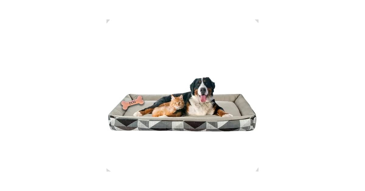 Melhores camas para cachorro de porte grande: Análise