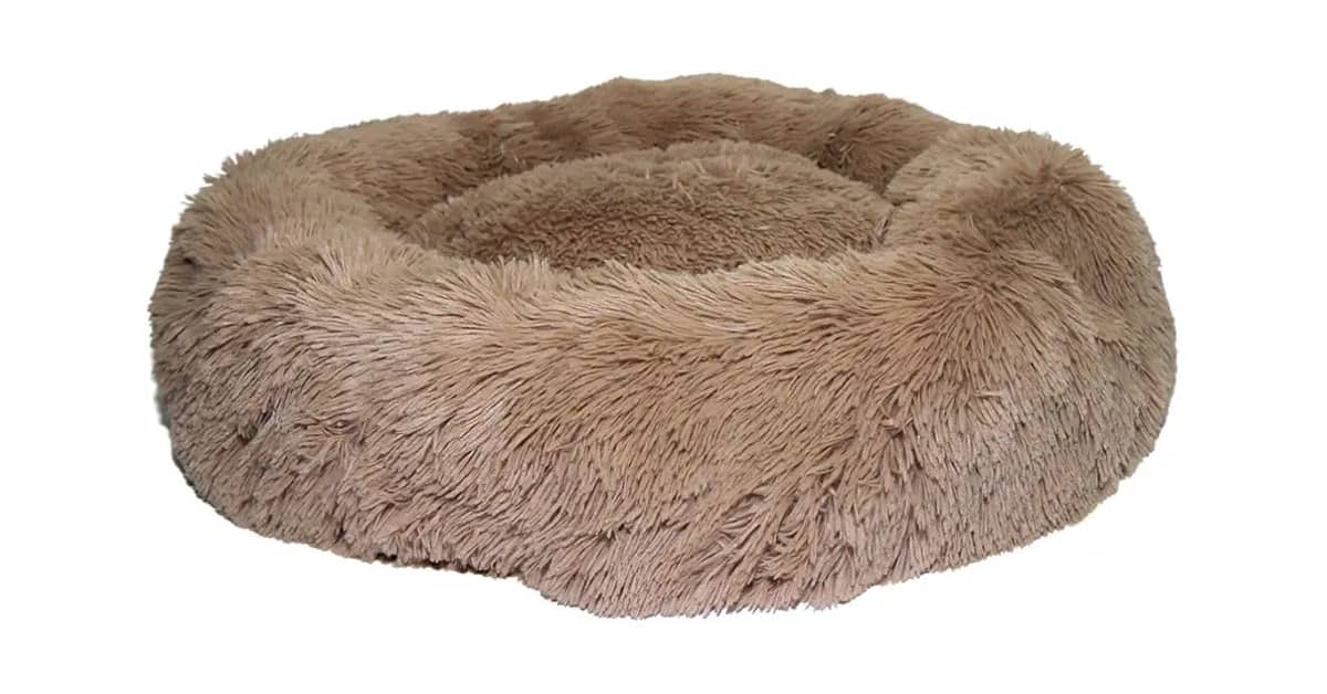 Melhores camas para furão: O Guia do Ninho Perfeito