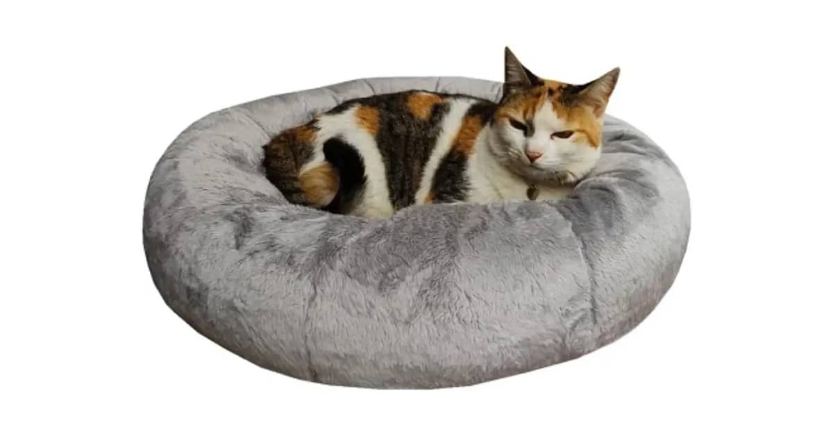 Melhores Camas para Gato: Qual a Ideal para Seu Pet?