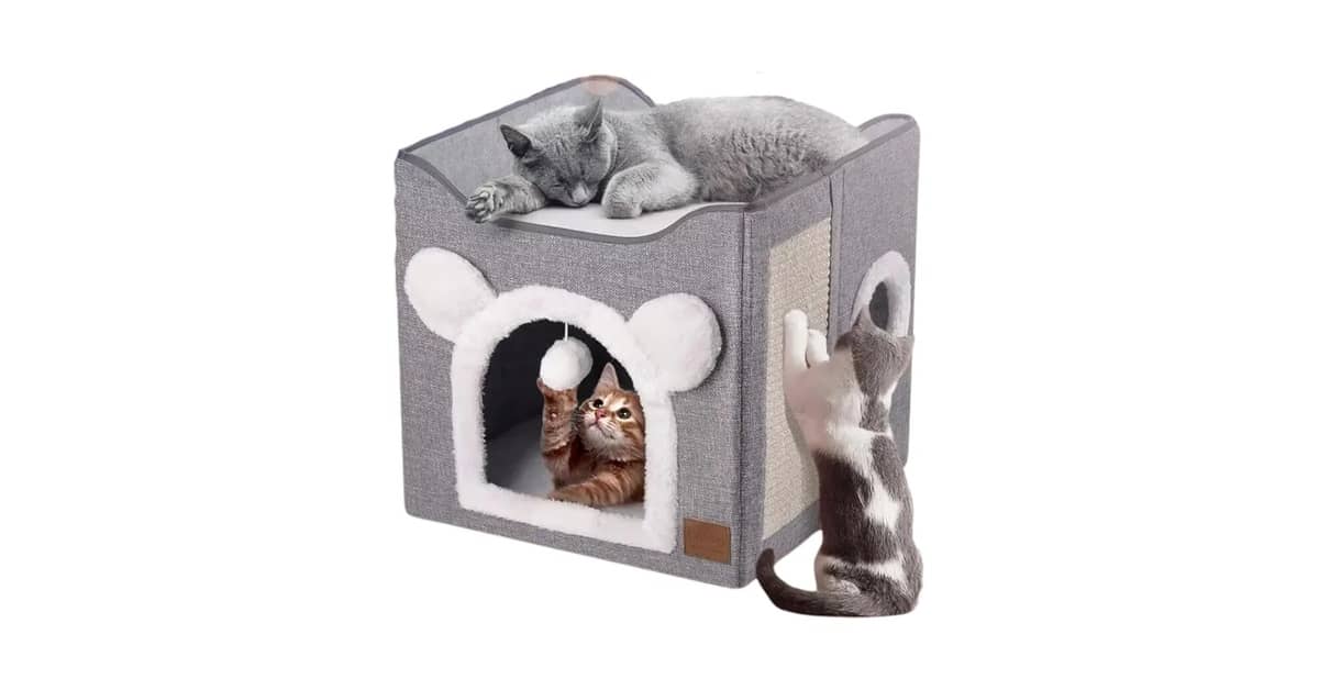 Melhores camas para gatos: Toca, Nuvem ou Rede?